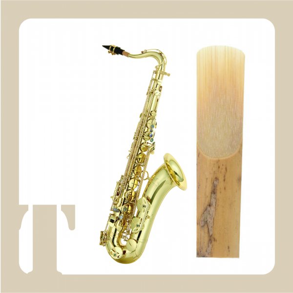 次中音竹片 Tenor Sax Reeds